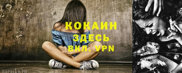 шишки Баксан