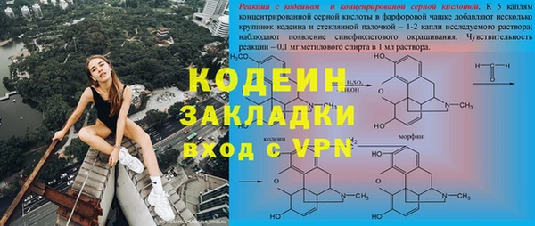 шишки Баксан